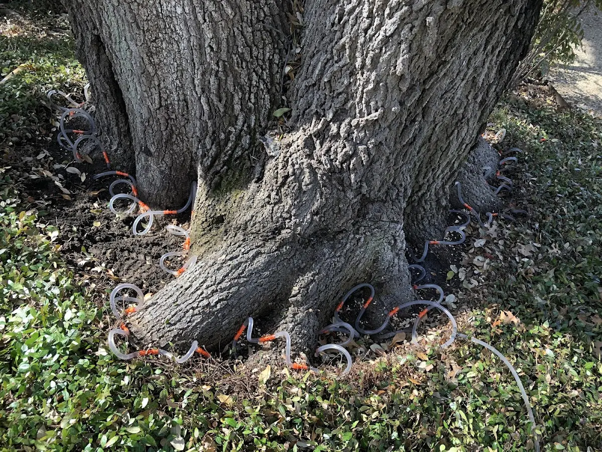 Detailed Shrub and Hedge Trimming job site in Effingham